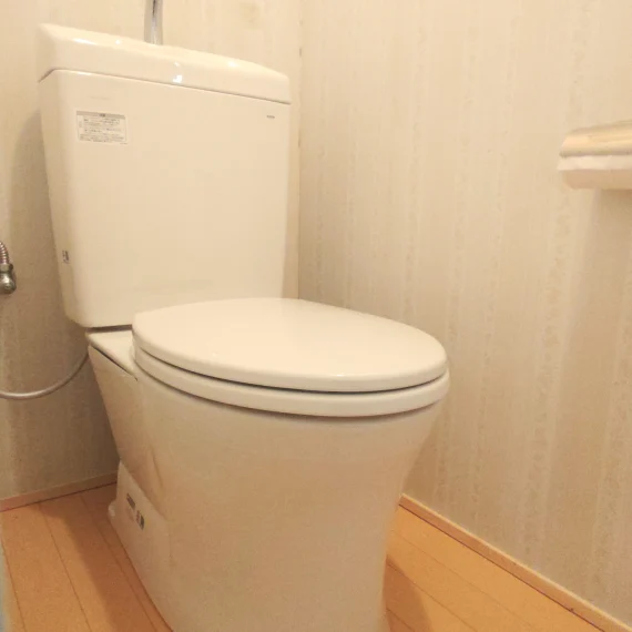 トイレのドアを新しくして段差解消！便座も交換