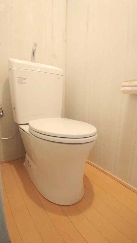 トイレのドアを新しくして段差解消！便座も交換